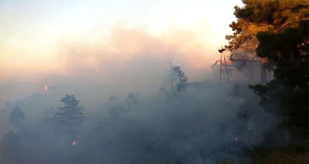 Incendi a Rossano, pene certe per i piromani