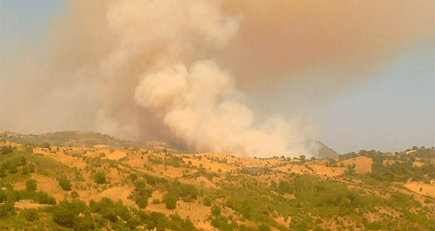 Vasto incendio nell'Alto Jonio. Abitazioni evacuate