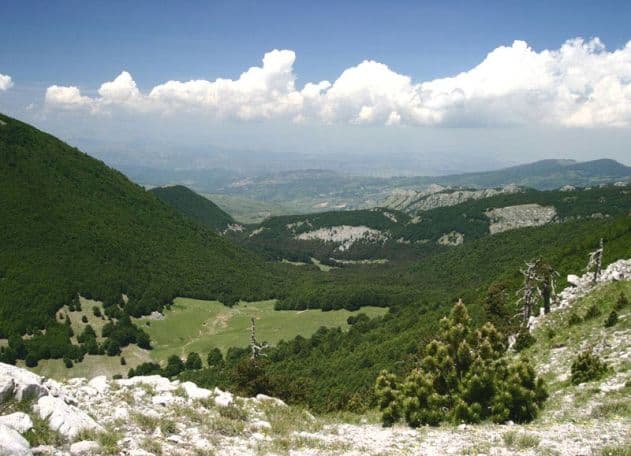 Recuperato uomo disperso nel Parco del Pollino