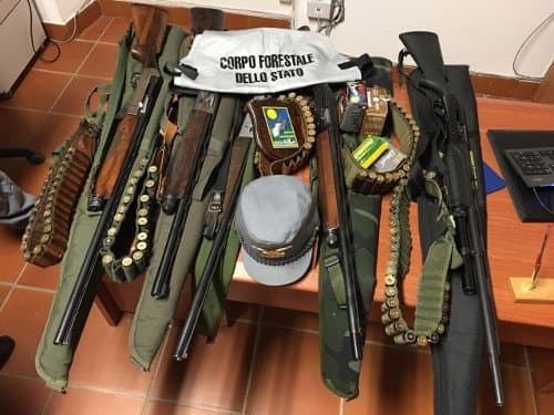 Armi nel Parco della Sila, 5 cacciatori sorpresi e denunciati a Bocchigliero