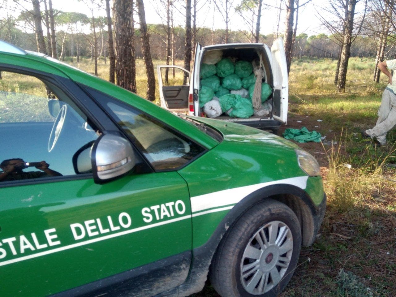 Furto di pigne a Castrovillari