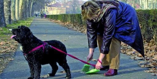 Cariati, mai più deiezioni canine per le strade