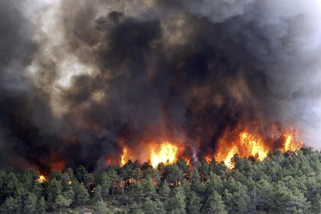 Orlandino Greco su incendi e vigili del fuoco
