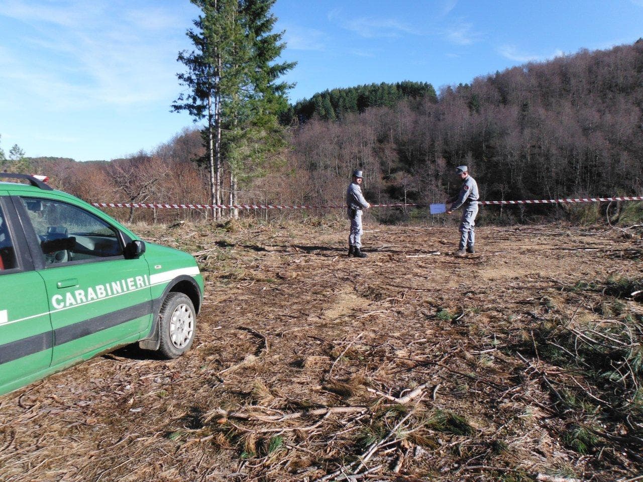 Taglio abusivo ad Acri, sequestrata area di 17.000 mq