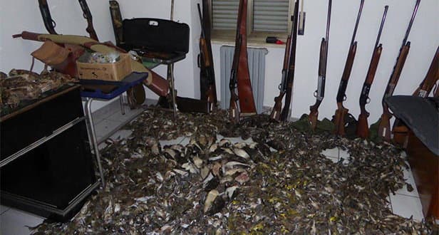 Corigliano, quattro persone denunciate. Abbattuti oltre 3000 capi di avifauna