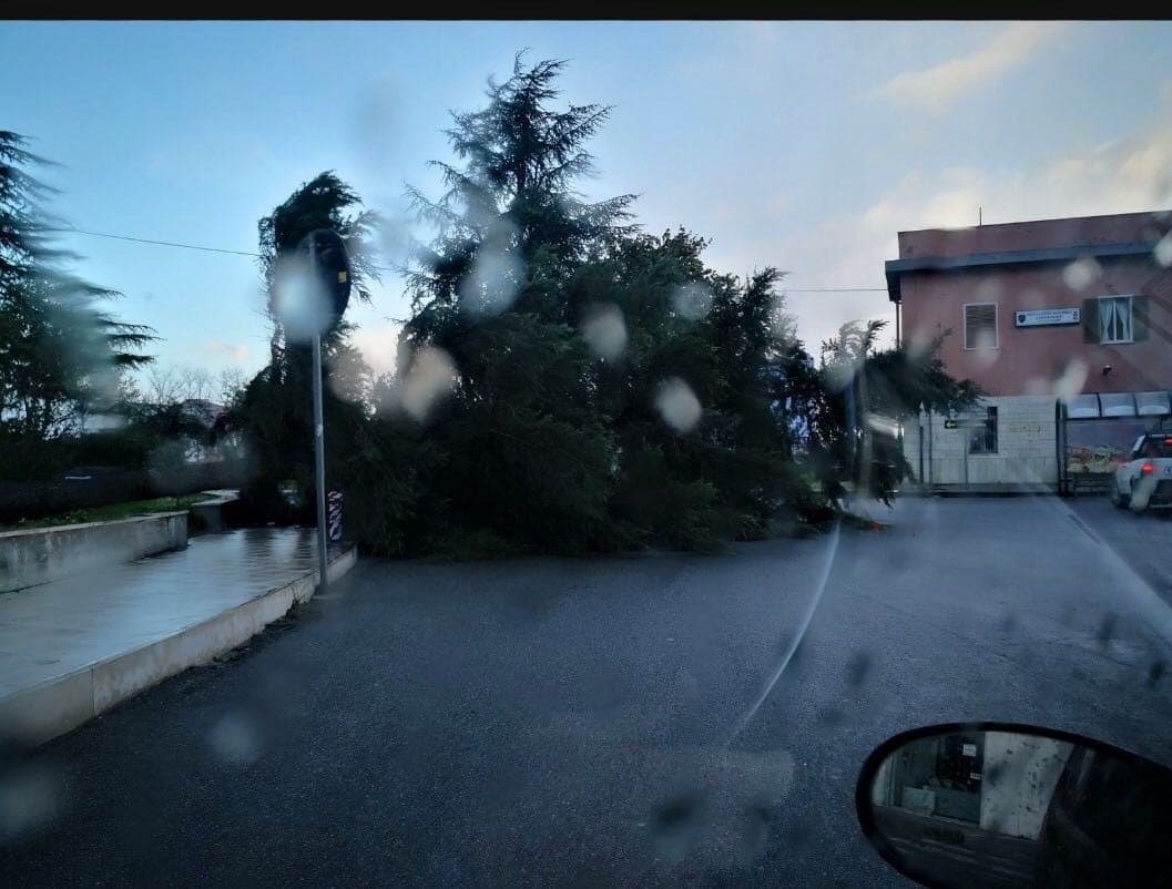 Rossano e Corigliano battute dal vento, diversi i danni