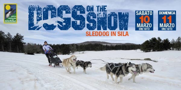 Torna nel Parco nazionale della Sila lo Sleddog, la corsa con cani da slitta più a sud d'Europa