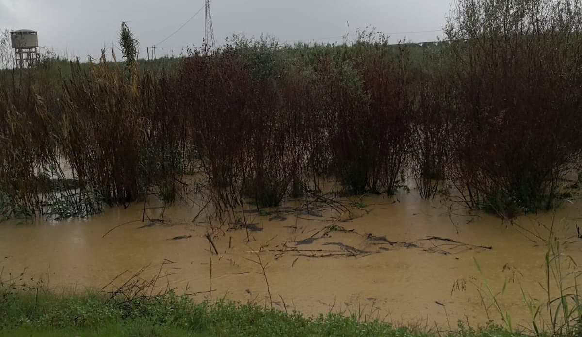 Allerta meteo Corigliano Rossano, Abate (M5S): monitorare la situazione
