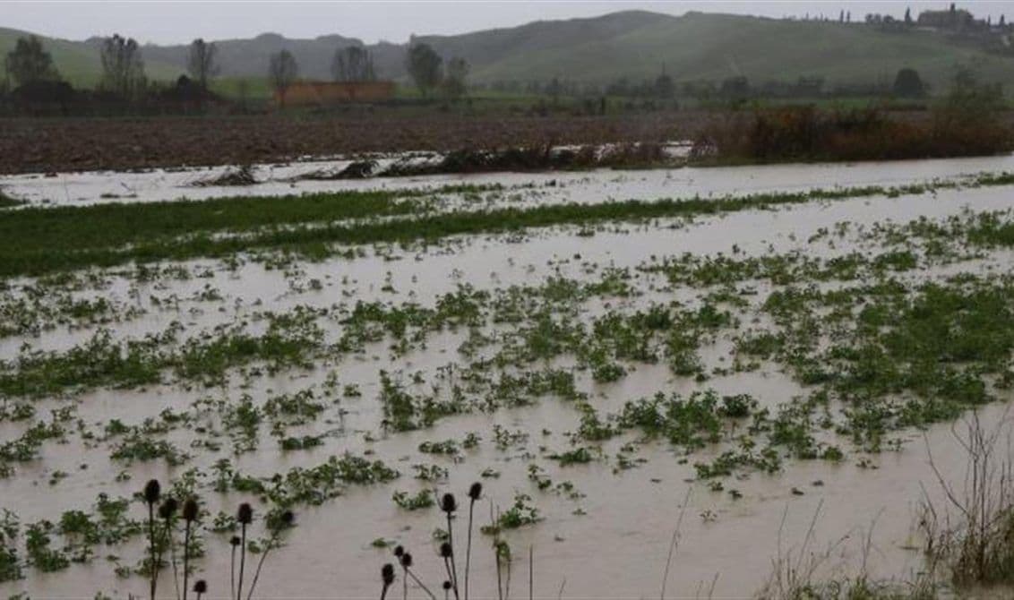 Maltempo Calabria, Conaf: compromesse molte produzioni agricole