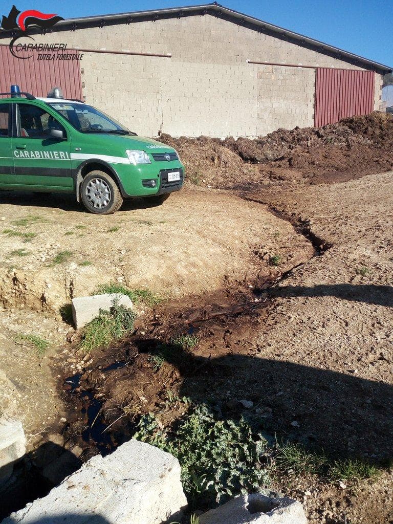Carabinieri Forestale, Luzzi: gestione illecita di rifiuti. Denunciato proprietario azienda agricola