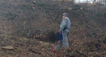 Carabinieri Forestale, taglio di bosco senza autorizzazioni