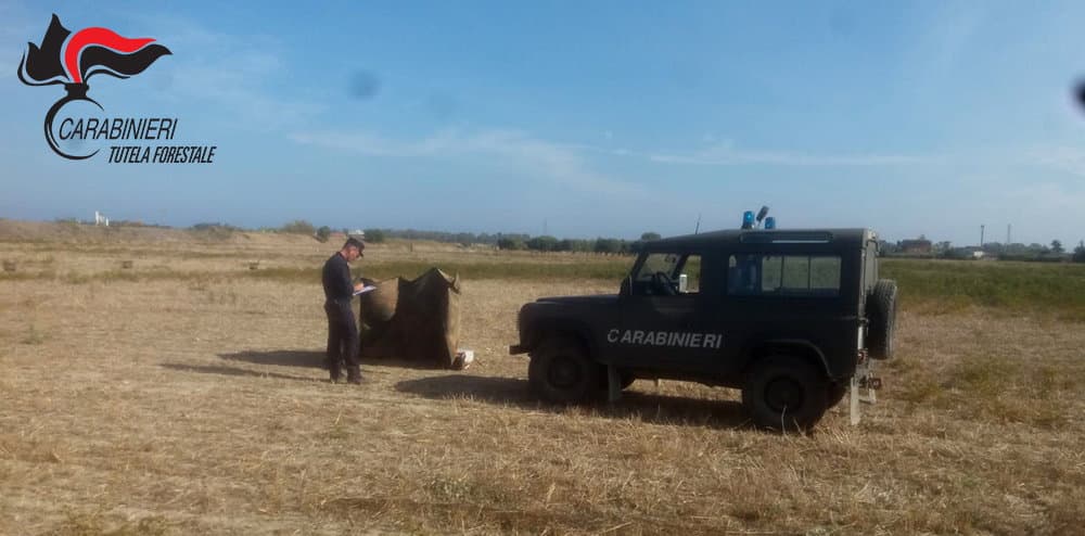 Villapiana, a caccia con richiami vietati.I Carabinieri Forestale denunciano tre persone