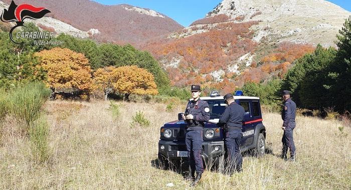 Parco Nazionale del Pollino: 42 incendi nel 2019. In fumo 535 ettari di superficie boscata
