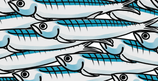 Le "sardine" calabresi si ritroveranno il 6 gennaio a Riace