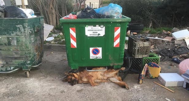 L'agghiacciante fallimento: impiccato e abbandonato sotto ad un cassonetto