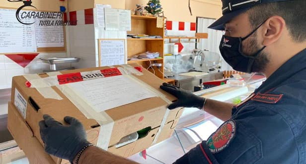 Carne scaduta e priva di tracciabilità: sequestri in due macellerie