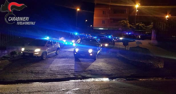 Maxi blitz di DDA, Carabinieri e finanza: 61 misure cautelari e 3 aziende sequestrate