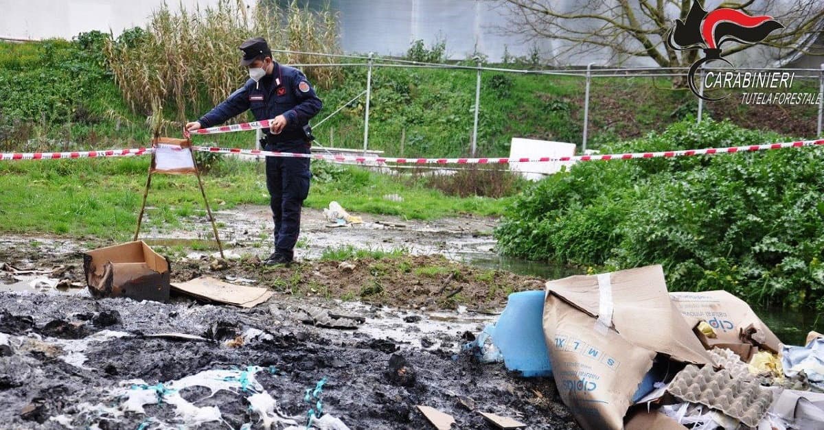 Cosenza, denunciati gli amministratori di un’azienda avicola