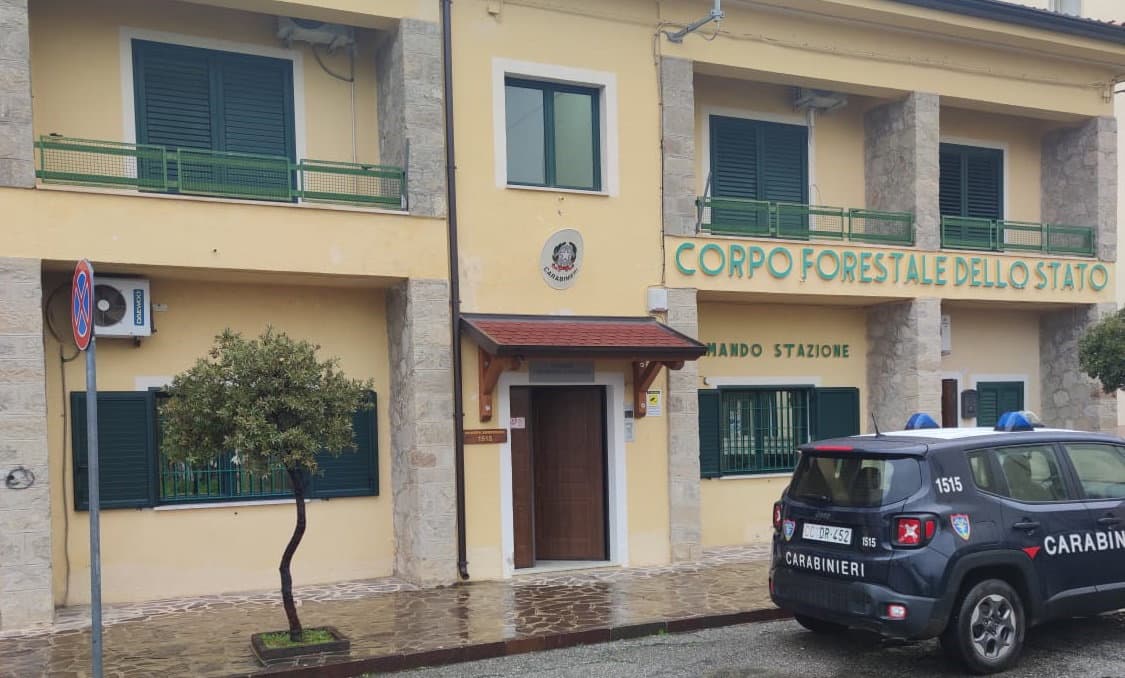 Paludi: denunciato uomo per macellazione clandistina di maiale. Norme non rispettate e carne del suino sequestrata