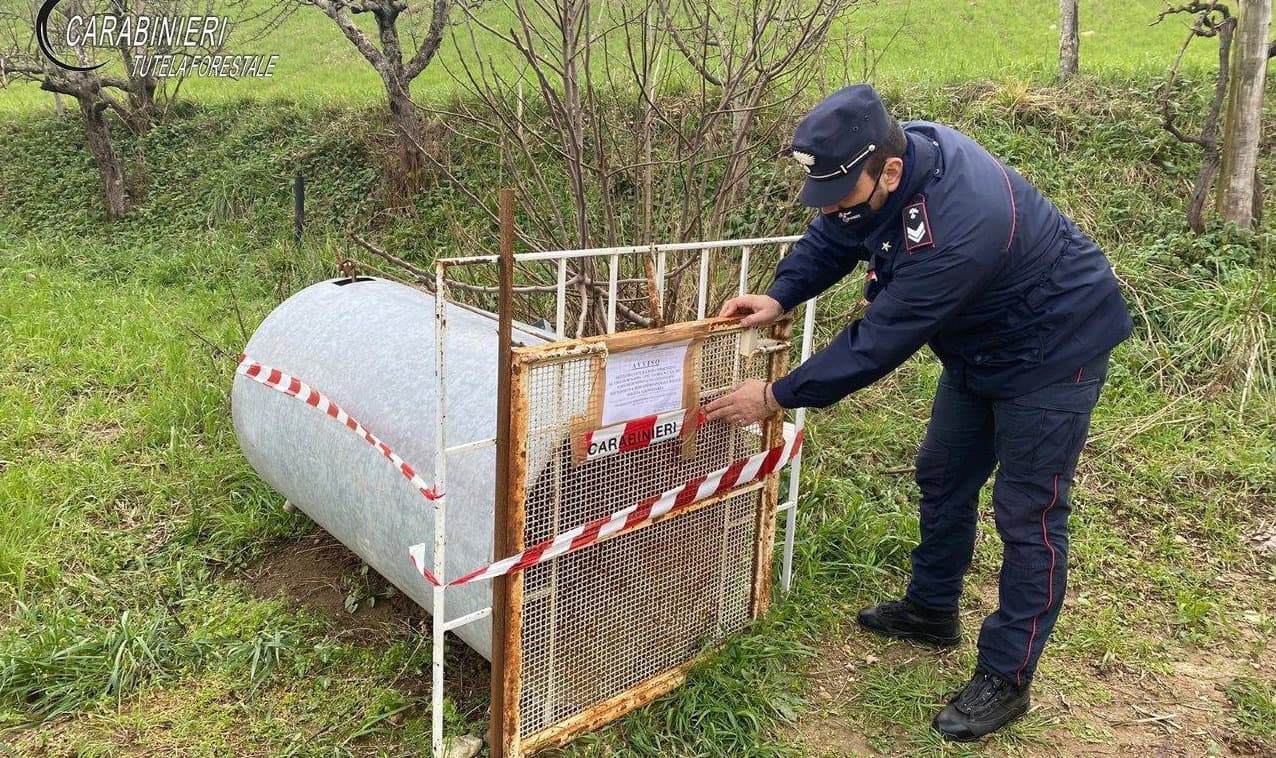 Tutela della fauna: i Carabinieri sequestrano una trappola illecita