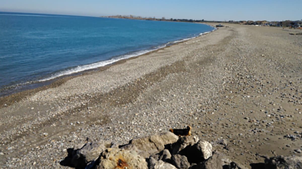 Rinviata la gara per l'assegnazione dei lotti balneari? Lefosse: «L'estate è già finita»