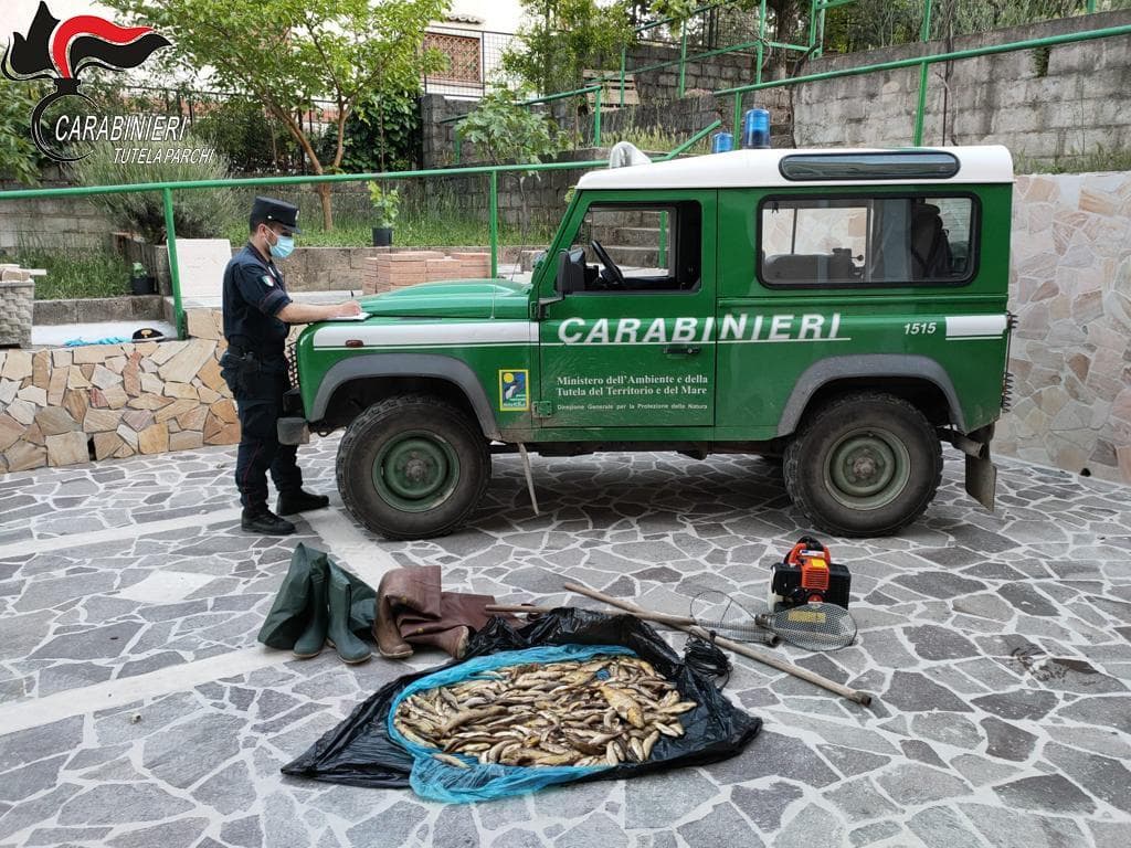 Pesca di frodo con generatore di corrente. I carabinieri forestali denunciano tre persone