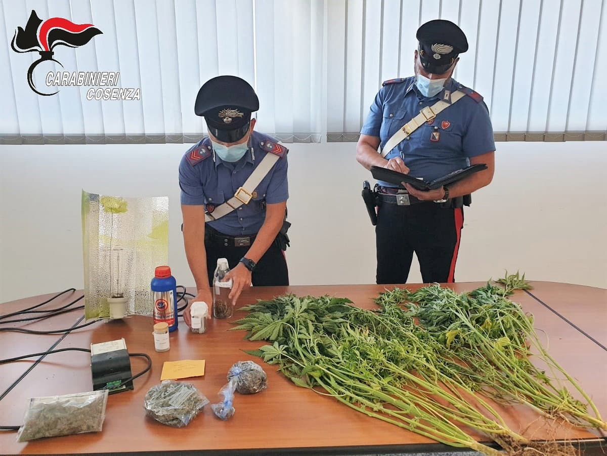 Rende, droga sequestrata e diverse denunce nel fine settimana