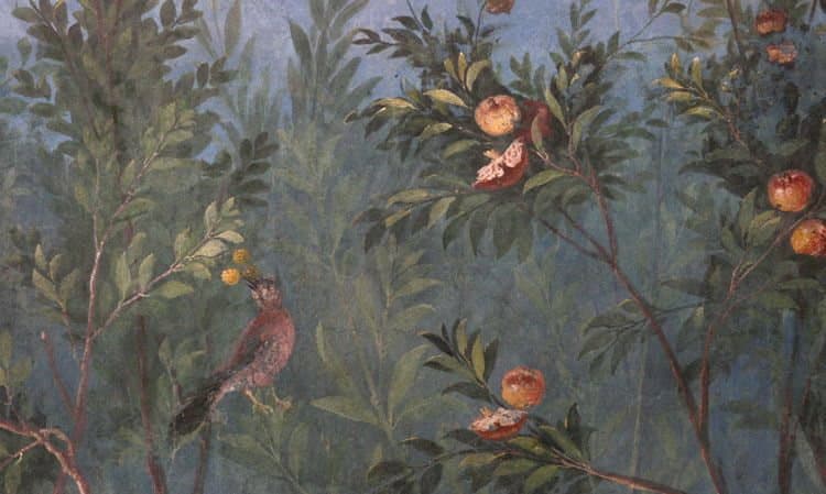 La voce di Catullo attraverso la mia raucedine