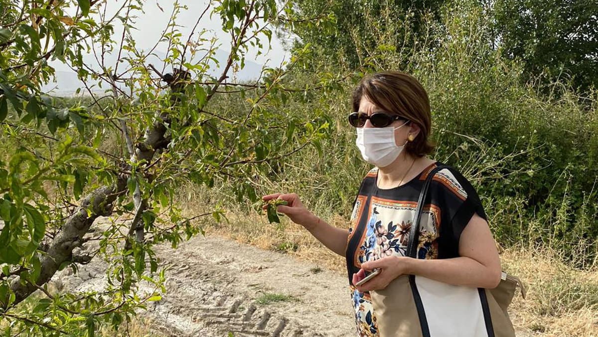 Maltempo, danni nella Sibaritide-Pollino: «Tempestiva risposta dal Governo, ora tocca alla Regione»