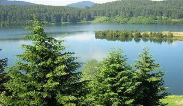 Il Parco Nazionale della Sila contro il Governo per il taglio dei fondi