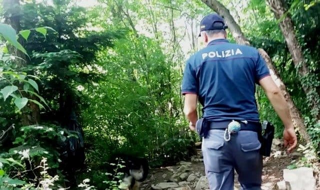 Un altro arresto per droga a Corigliano-Rossano, un 67enne con una mini-piantagione di canapa