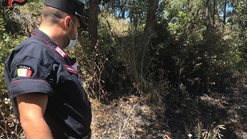 Pascolo abusivo, nei guai il sindaco ed il responsabile della Polizia municipale di Terravecchia