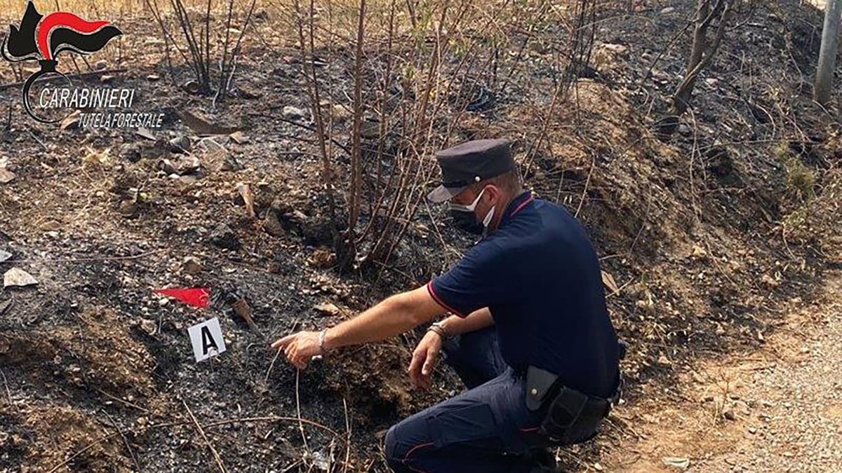 Castrovillari, minorenne appicca incendi: individuato grazie alle telecamere