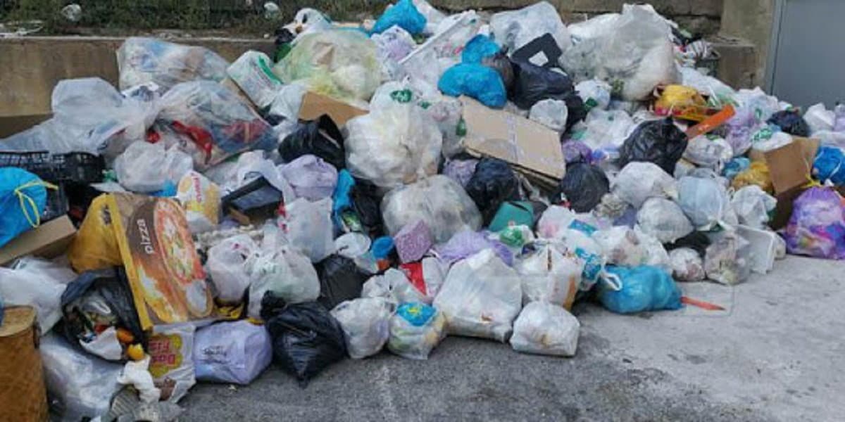 «Chiediamo un percorso di formazione, sulle tematiche ambientali, per la Commissione Ambiente»