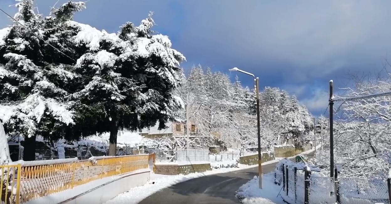 Mobilità, la Straface striglia la Provincia: «Urgono interventi sulla strada per la Sila»