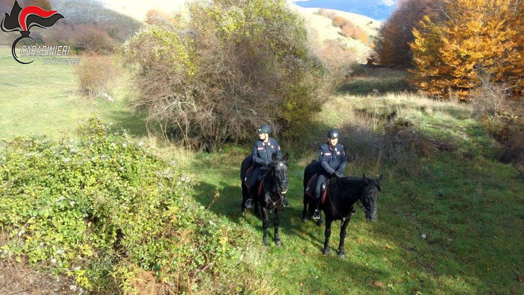 A "spasso" nel Parco del Pollino: multati 4 motociclisti