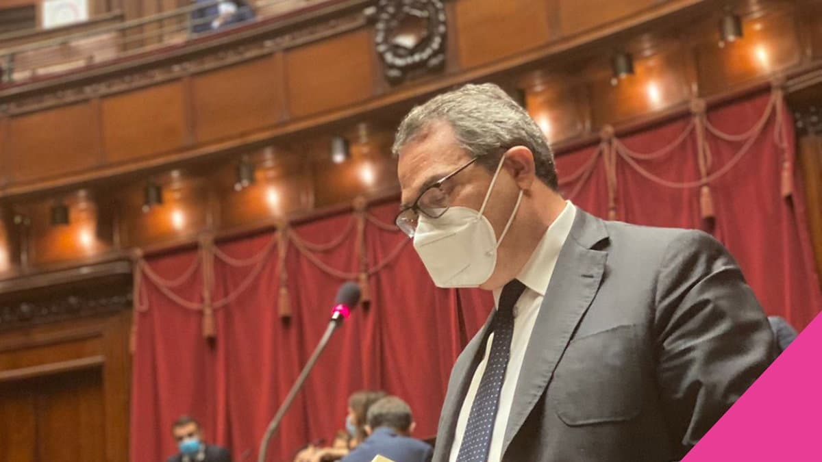Lavoro, D'Ettore (CI) chiede di concentrarsi su formazione e reinserimento «in particolare al sud»