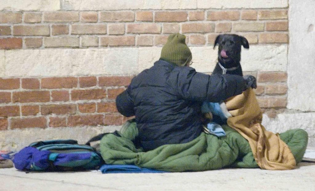 Assistenza gratuita e solidale ai cani dei senzatetto: è partito un progetto pilota