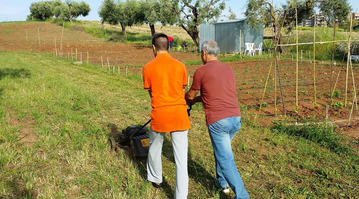 Form4Autism, è nata una fattoria per favorire l'autonomia e l'integrazione dei ragazzi autistici