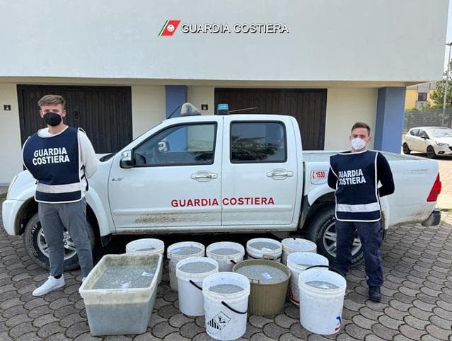 Alto Jonio, maxi sequestro di sardella e 25mila euro di multa al trasgressore
