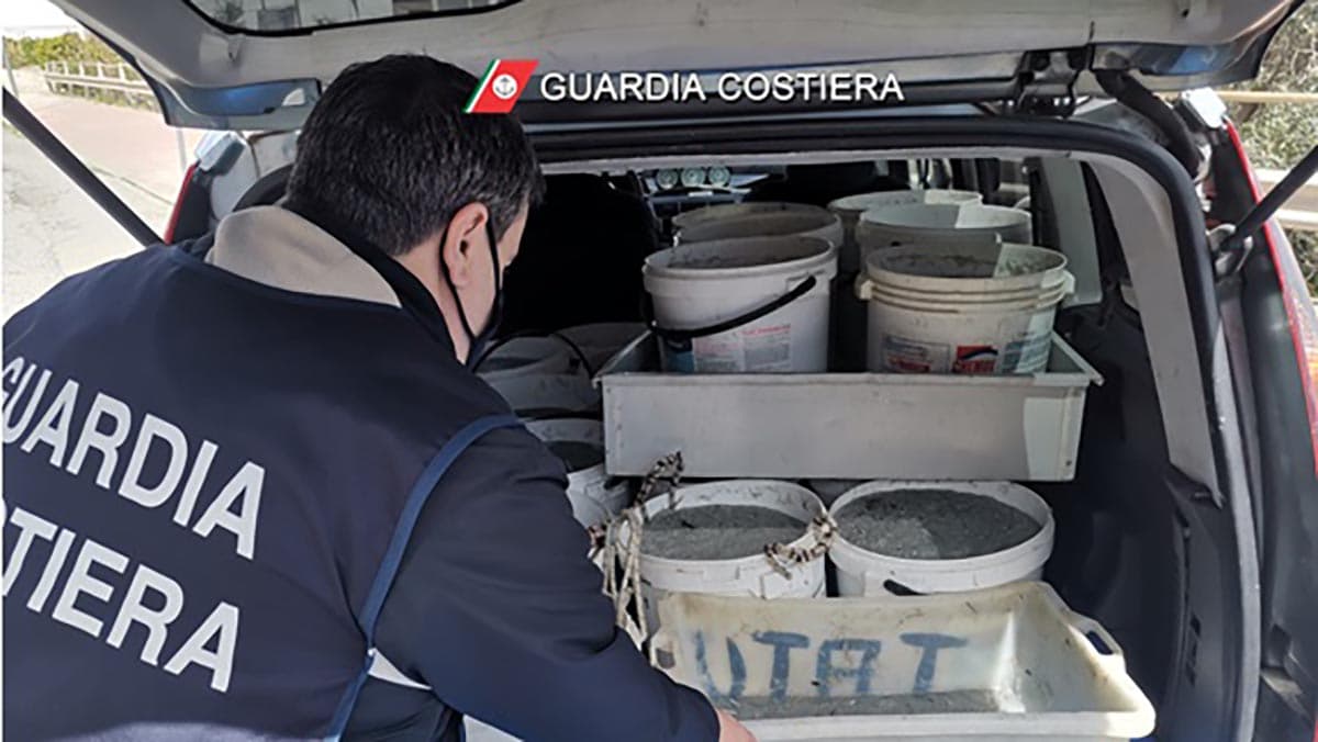 Nuovo sequestro di novellame nella Sibaritide: trovata quasi mezza tonnellata