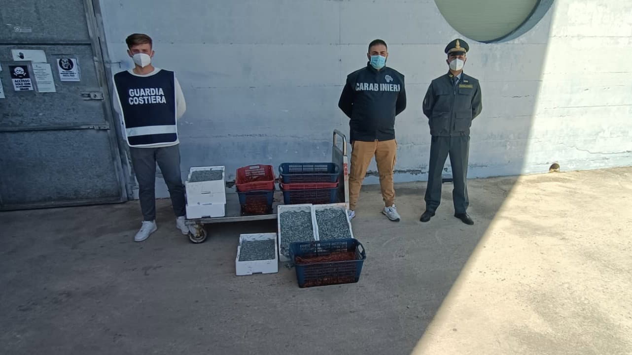 Sibaritide, sequestrata più di una tonnellata di prodotto ittico e inflitte multe per 63mila euro