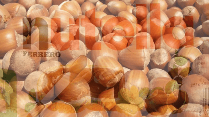 C’è chi dice “sì” alla Ferrero: la nutella sarà composta per il 75% da nocciole made in Calabria