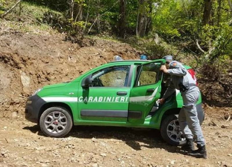 Tentò di uccidere due guardie forestali, condanna definitiva per un 49enne rossanese