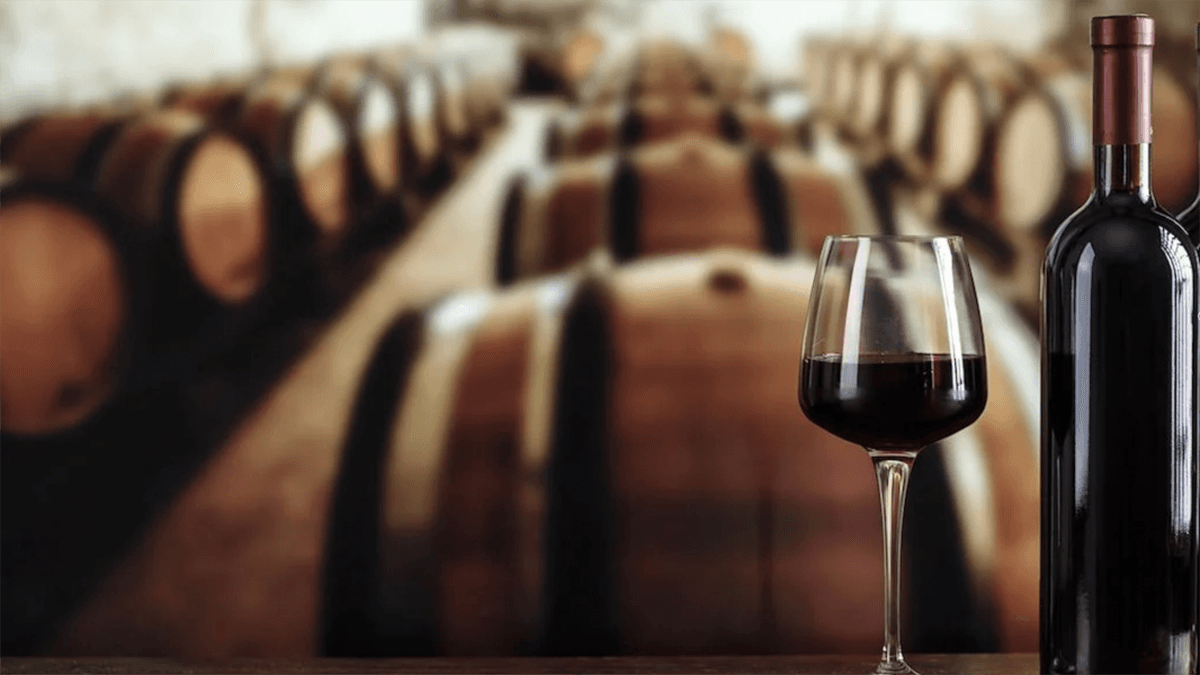 Vigneti aperti, l'estate calabrese piena di appuntamenti tra le pergole