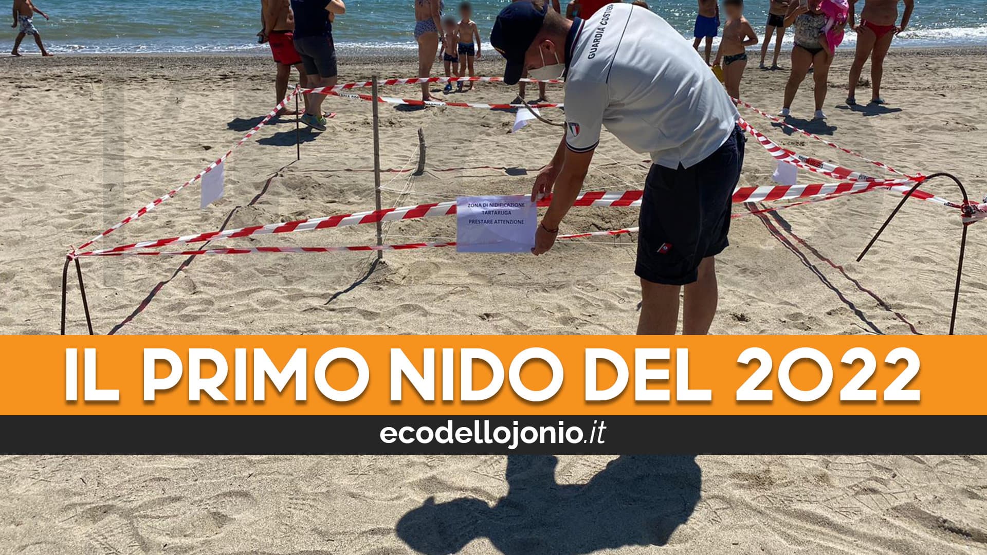Stanotte sulle spiagge di Thurio una "Caretta-caretta" ha deposto le sue uova