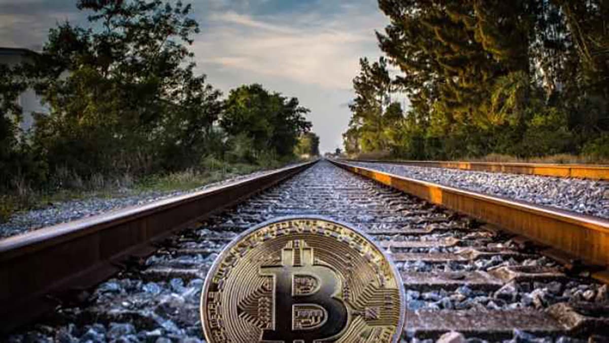 Dai viaggi agli elettrodomestici, la criptovaluta conquista sempre più calabresi