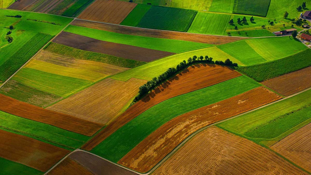 Agricoltura, in Calabria diminuisce il numero delle aziende e si predilige l’innovazione digitale