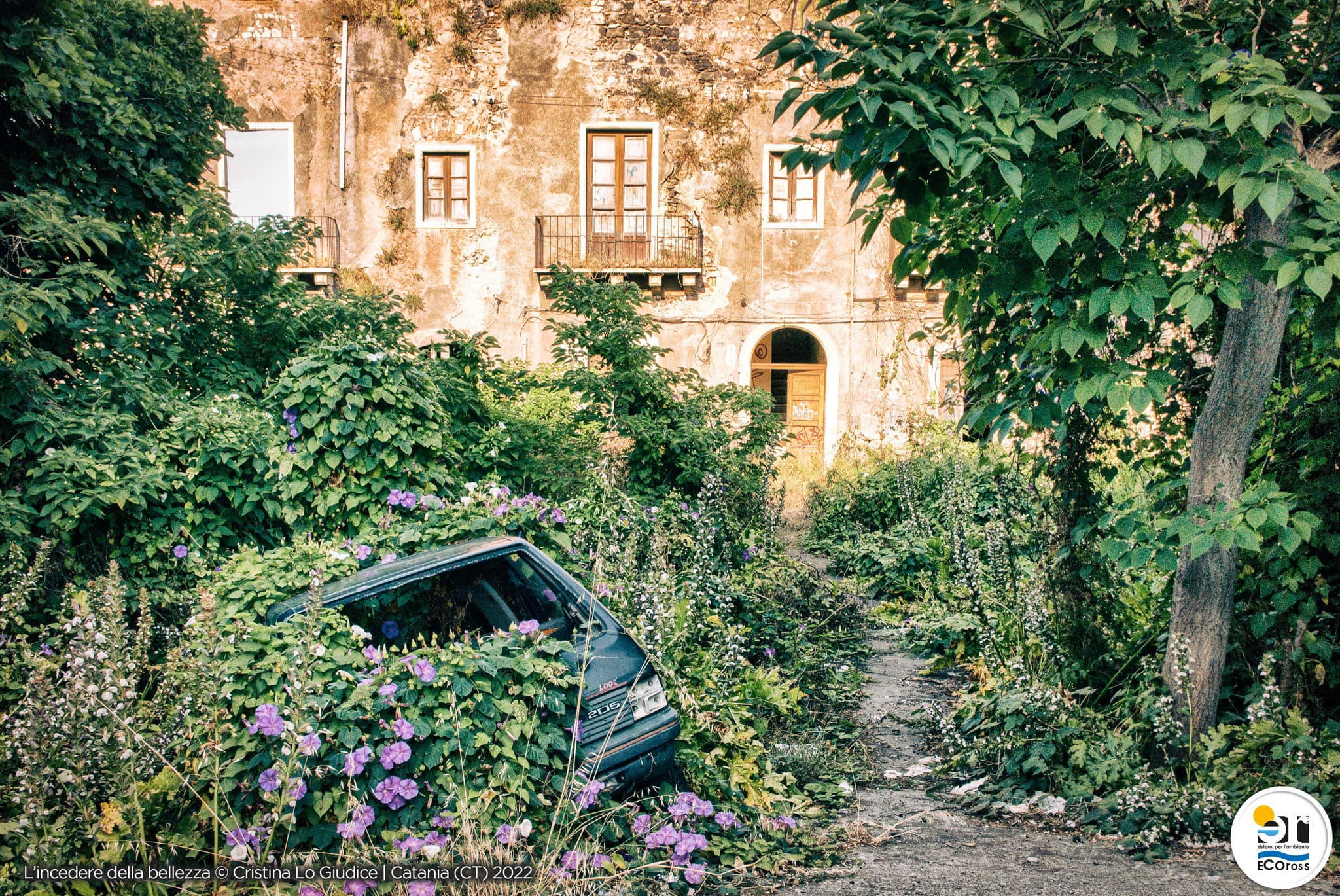 "Spazio alla natura" si è concluso il contest fotografico di Ecoross contro l'abbandono indiscriminato dei rifiuti