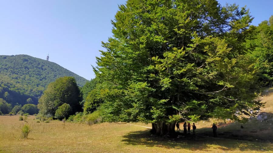 Dieci semplici regole per vivere la montagna in serenità... divertendosi